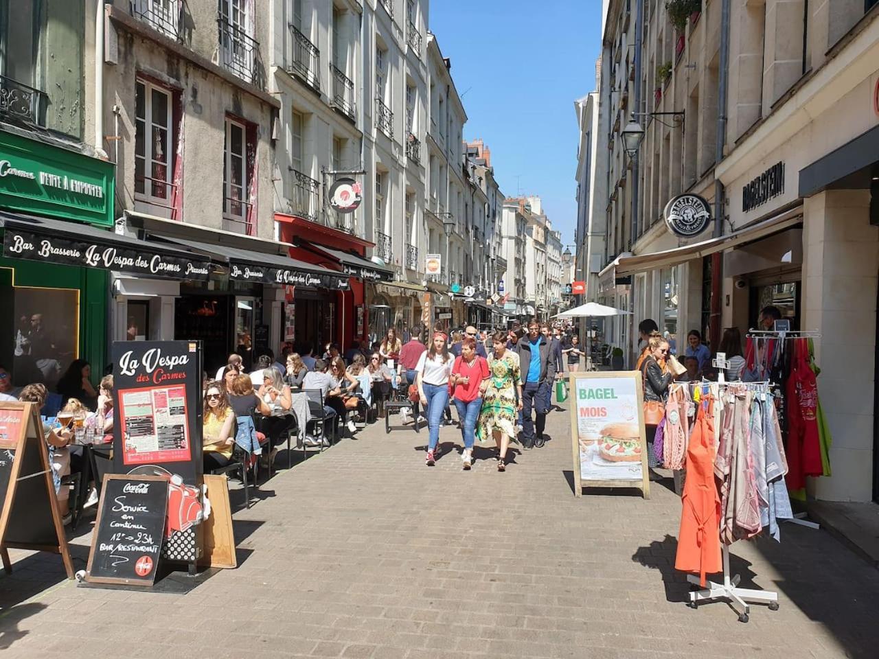 Le Nid Des Carmes Apartment Nantes Luaran gambar